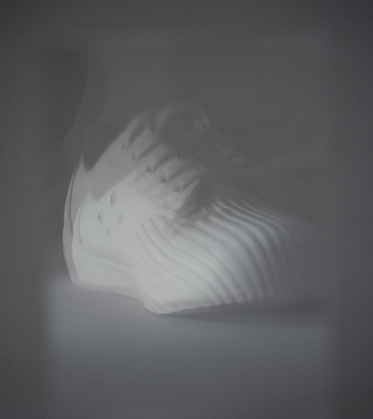 Blurred white UNFORMED sneaker appearing ghost-like against a soft grey background, creating an abstract and atmospheric product image.
